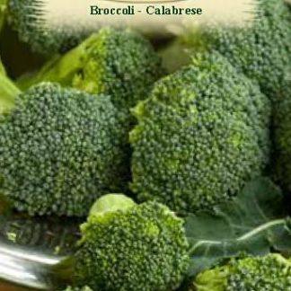 Broccoli Calabrese 1,5 gr.