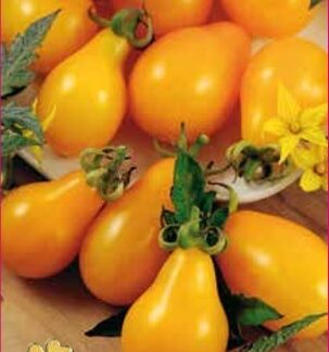 Tomate Yellow Pearshaped 0,2 gr.