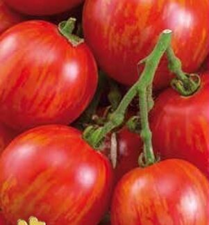 Tomate Tigerella 0,2 gr.