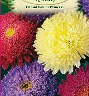 Ochiul Boului Princess mix 0,3 gr.