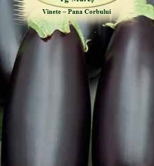 Vinete-Pana Corbului 0,7 gr.