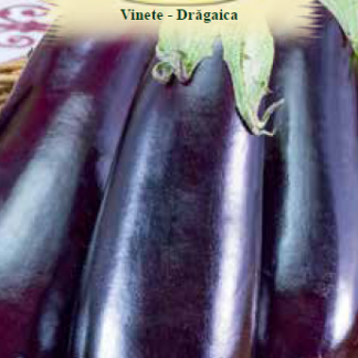 Vinete-Drăgaica 0,8 gr.