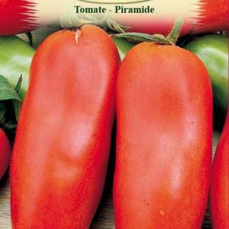 Tomate-Piramide 0,3gr