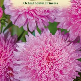 Ochiul Boului Princess Roz 0,4gr.