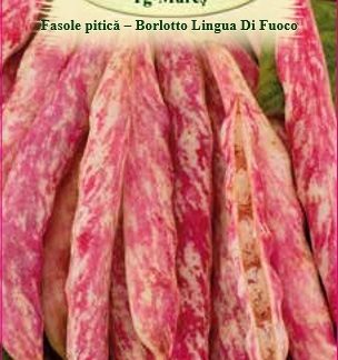Fasole PiticaPestrita-Borlotto L.DiFuoco 200gr.