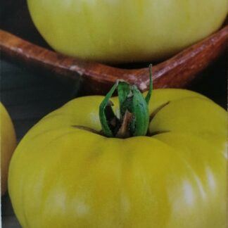 Tomate Mari Galbene-White 0,2 gr.