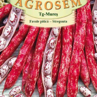 Fasole Pitică Pestrita pt boabe-Stregonta-200gr.
